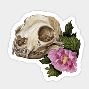 Cat Skull and Rose of Sharon Sticker